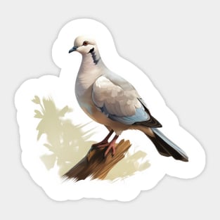 Collared Dove Sticker